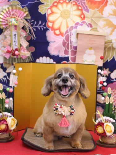 20240106チョビ助くん